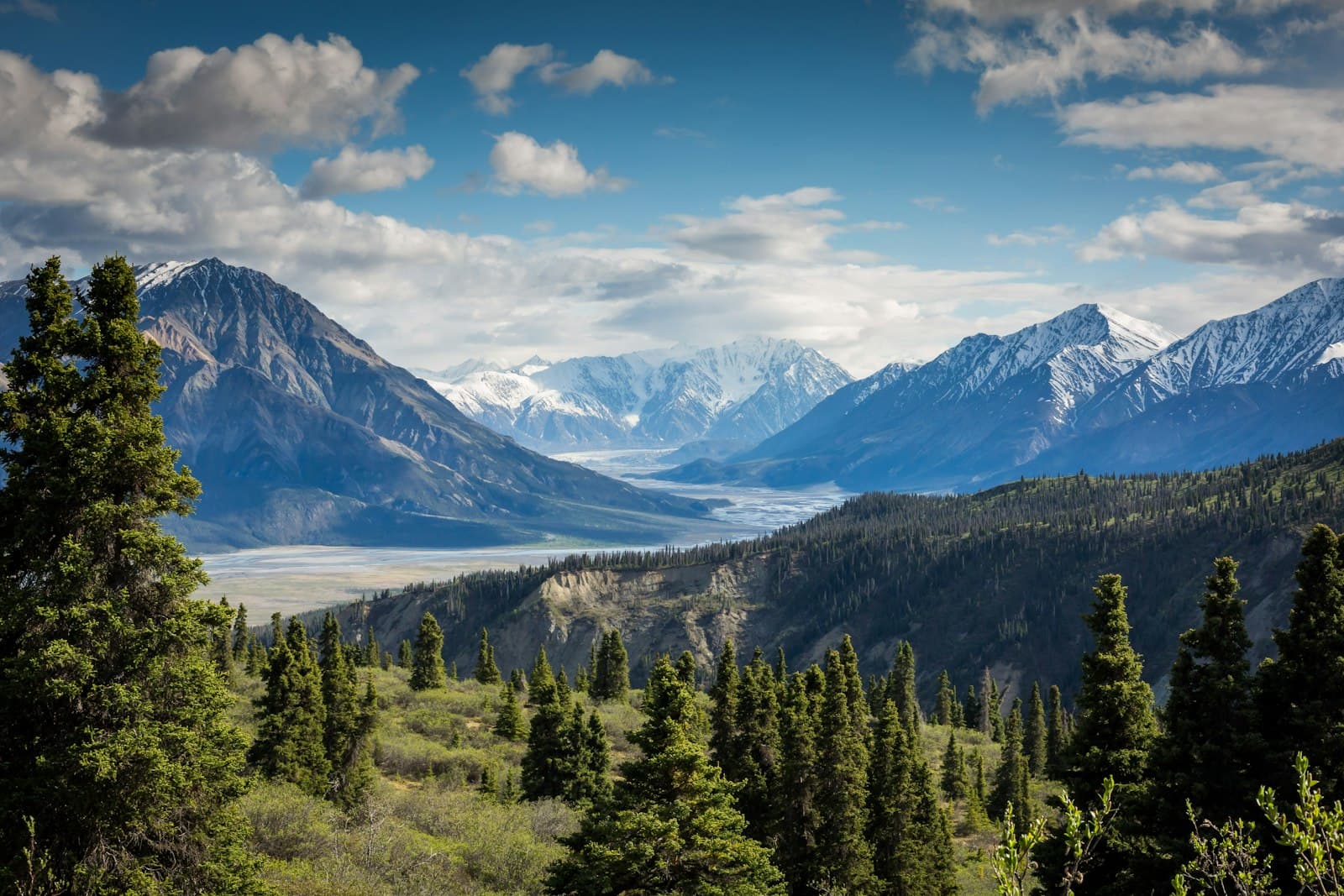 How Much Sun Do You Actually Need for Vitamin D? The Real Numbers.